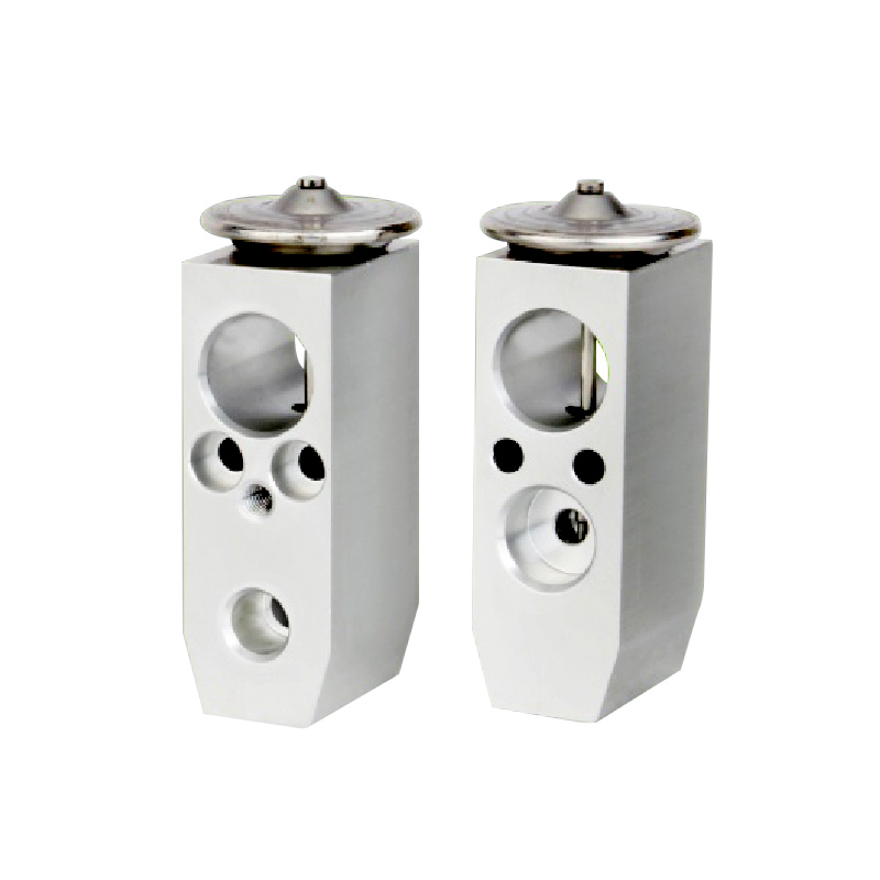 A/C Expansion Valve For V.W T4